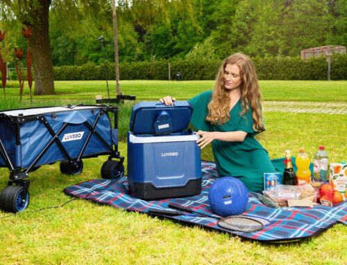 Bolderkarren op festivals: de ultieme gids